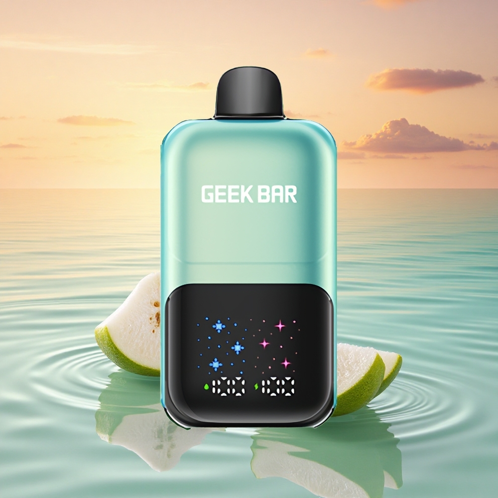 GEEK BAR 2GO 20ml 50000 Puffs Kühle Minze Eis mit Dual-Tank und einstellbarer Kühle