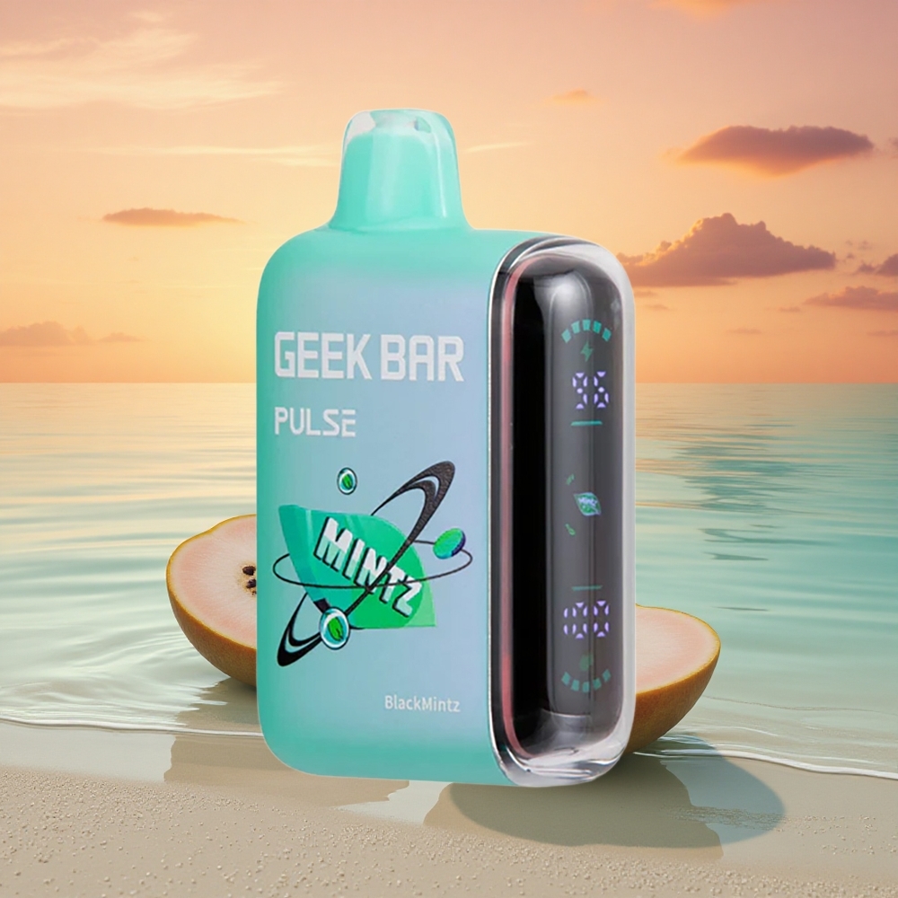 GEEK BAR Pulse 15000 Puffs Edition Mintz: 16ML 5% USB-C