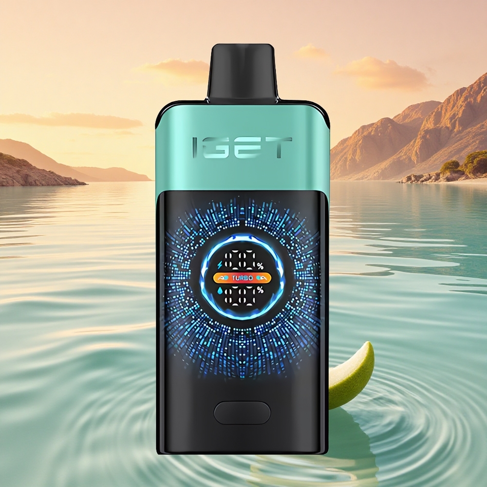 IGET ONE 12000 Puffs Bergquellen-Minzeneis mit 2700 mAh und Dual-Mesh-Spule