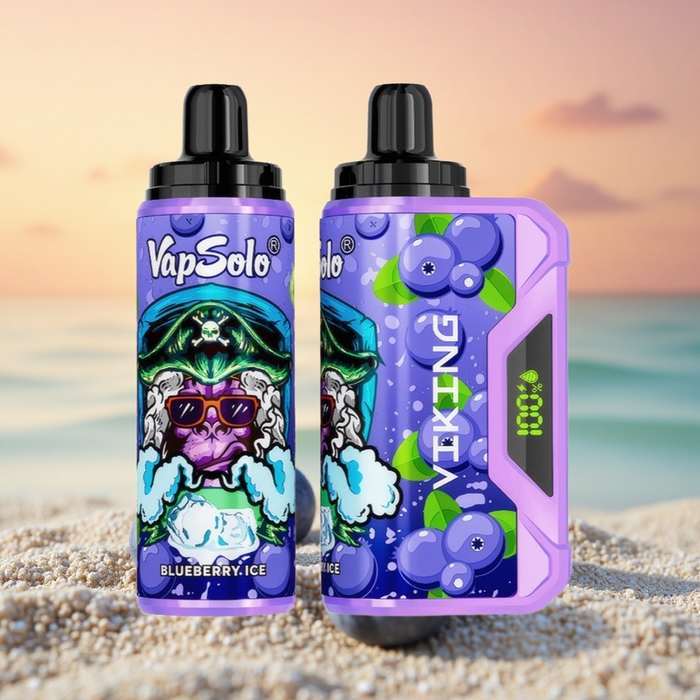 VapSolo VIKING 12000 Puffs Blaubeere Typ-C 22ml 20mg