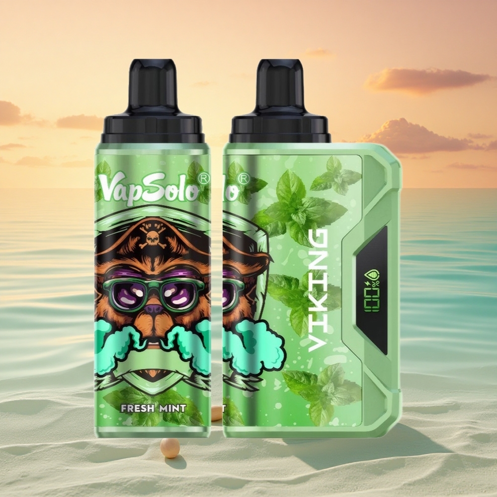 VapSolo VIKING 12000 Puffs Frische Minze 22ml Typ-C